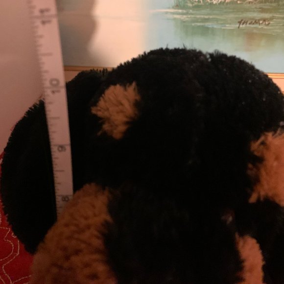 Kiss me Puppy Plush Dog - Picture 9 of 9